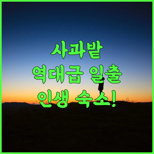 Jomotel Dayar An Apple Orchard Villa 추천 사과 과수원 속 일출이 아름다운 테오그 힐링 숙소 후기