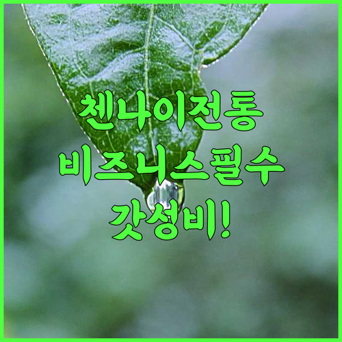 베스트 웨스턴 앰비카 엠파이어 호텔 후기 전통적인 분위기와 비즈니스 시설을 갖춘 첸나이 숙소