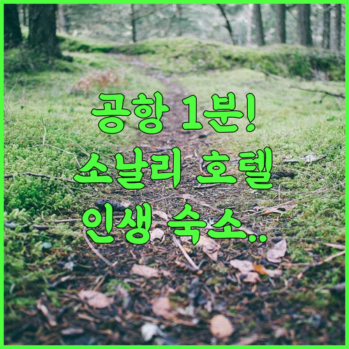 Hotel Sonali 추천 아가르탈라 공항 근처 최고의 접근성을 갖춘 5성급 숙소 후기