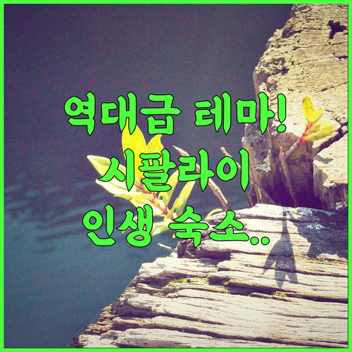 타카투카 비치 리조트 후기 감각적인 테마 객실과 전용 해변이 아름다운 시팔라이 감성 숙소 추천