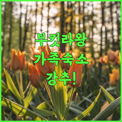 Green Travelodge 인도네시아 부킷 라왕 가족 여행객을 위한 깨끗한 숙소 추천 후기