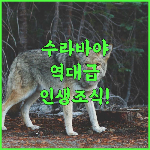 부미 수라바야 시티 리조트 후기 전통 정원과 고품격 조식이 완벽한 수라바야 숙소 추천