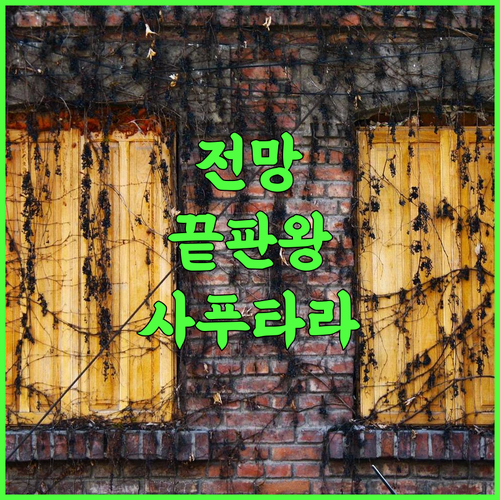 호텔 레이크 뷰 후기 사푸타라 호수 전망이 아름다운 최고의 숙소 추천