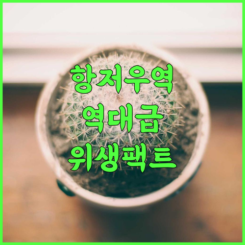 Haoyi Hotel 추천 깨끗한 위생 상태와 지하철역 접근성이 뛰어난 항저우 푸양 숙소