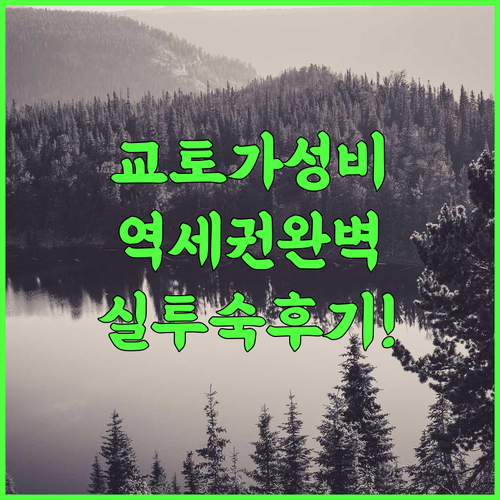 더 포켓 호텔 교토 가라스마고조 추천 역세권 가성비 숙소 실투숙 완벽 후기