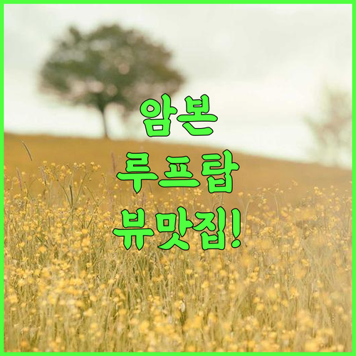 Maluku Residence Syariah 루프탑 시티뷰가 매력적인 암본 가족 여행 숙소 추천 후기