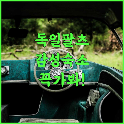 Gastehaus Haßloch/Pfalz 추천 후기 독일 팔츠 지역의 전통미와 편리함을 갖춘 숙소