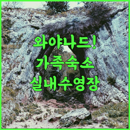 라벤더 리조트 와야나드 바두반찰 가족 여행 숙소로 완벽한 실내 수영장 호텔 추천
