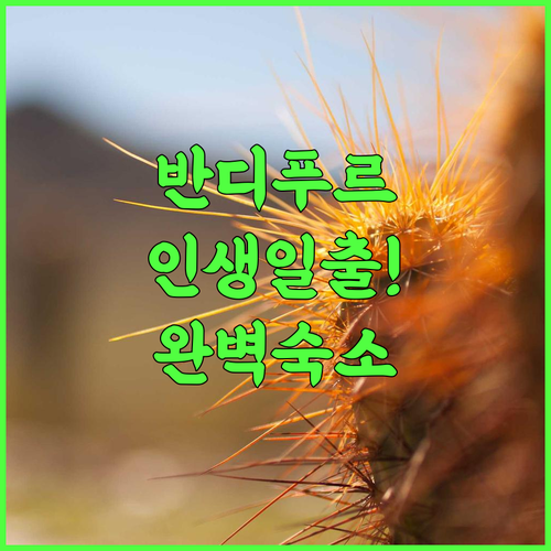 Hotel Aagaman 반디푸르 히말라야 일출 조망이 완벽한 청결 숙소 후기 추천