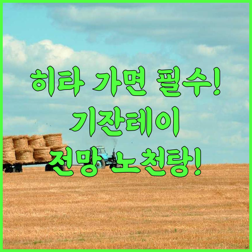 히타 온센 기잔테이 호텔 후기! 전망 노천탕에서 힐링을 만끽하는 히타 숙소 추천