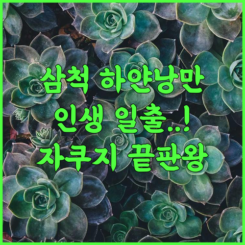 삼척 하얀낭만 펜션 추천 후기! 일출과 자쿠지가 완벽한 커플 여행 숙소의 정석