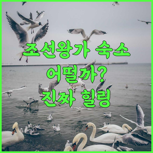 조선왕가 연천 숙소 후기, 전통과 현대가 어우러진 특별한 하루