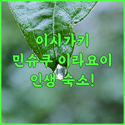 민슈쿠 이라요이 추천 후기 이시가키 전통 감성과 현지식 식사가 완벽한 로컬 숙소 최고의 선택