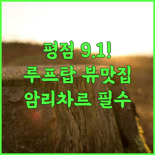 Levelup Plus Sukoon Inn 암리차르 서비스 평점 9.1점의 조용한 루프탑 전망 숙소 추천 후기