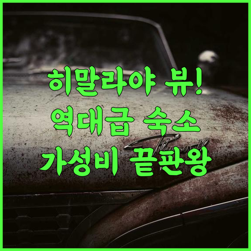 The Hosteller Kasar Devi 후기 알모라 히말라야 뷰가 아름다운 가성비 숙소 추천