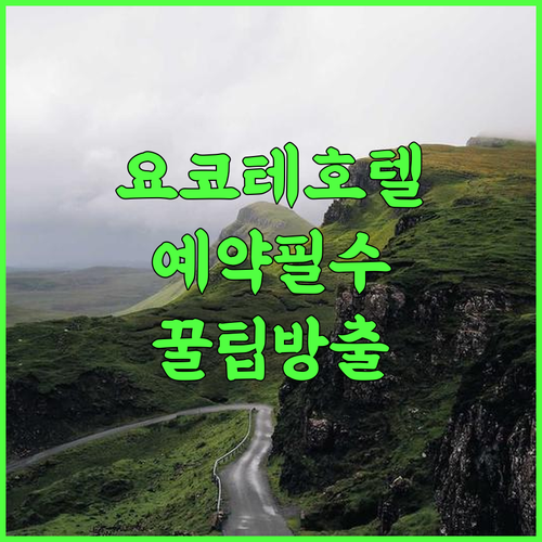 요코테 센트럴 호텔 총정리, 여행을 준비하며 알아본 예약 팁과 숙소 후기