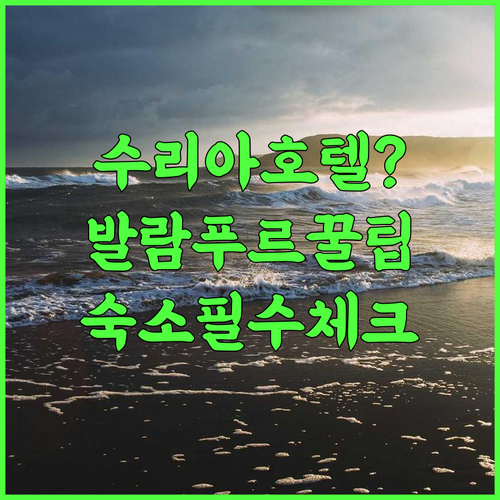 수리아 호텔 숙소 후기 총정리, 발람푸르 여행을 위한 실제 이용후기