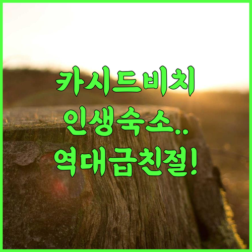 Kashid Hidden Dream Resort 후기 청결함과 친절한 서비스가 돋보이는 카시드 비치 최고의 휴식처