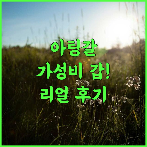 Royal View Residency 후기 주요 명소 접근성이 뛰어난 아팅갈 가성비 호텔 추천