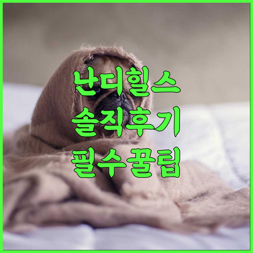 KSTDC Hotel Mayura Pine Top 난디 힐스 솔직 후기 및 숙소 팁 총정리