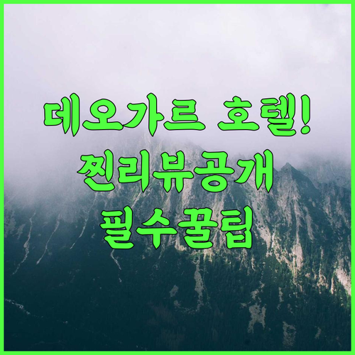 데오가르 호텔 야쇼다 인터내셔널 실제 이용후기 및 숙소 팁